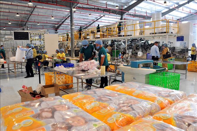 Dịch vụ cho thuê lao động tại Đồng Nai