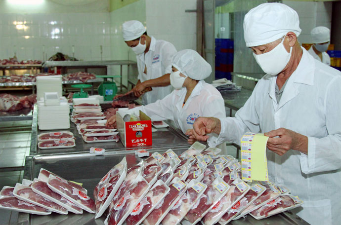 Dịch vụ cho thuê lao động tại Long An