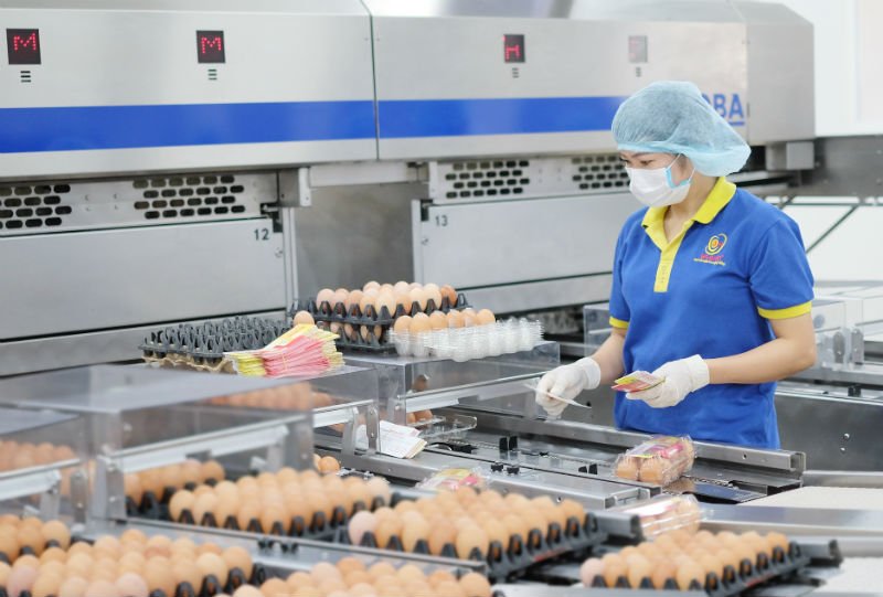 Dịch vụ cho thuê lao động tại Bình Dương