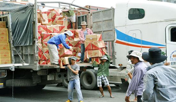 Dịch vụ cho thuê lao động tại Quận 1